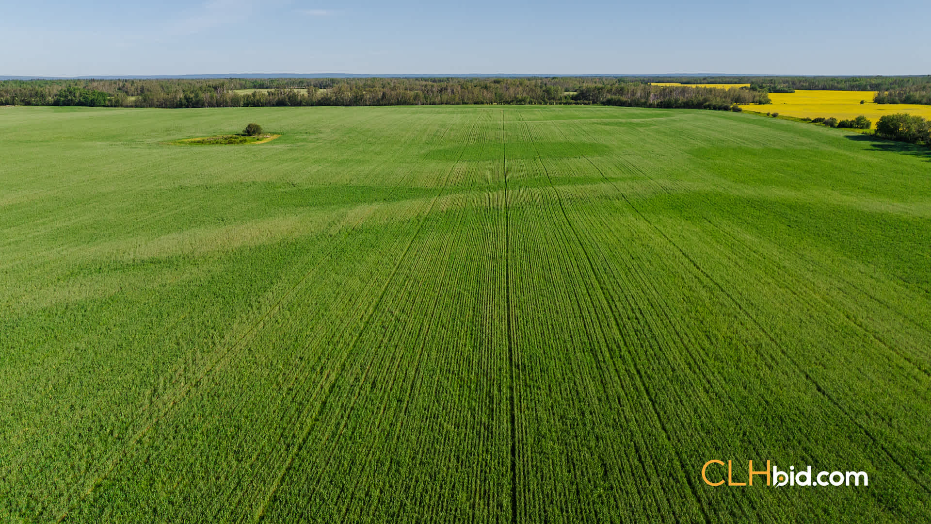 View from above of Brownvale Option