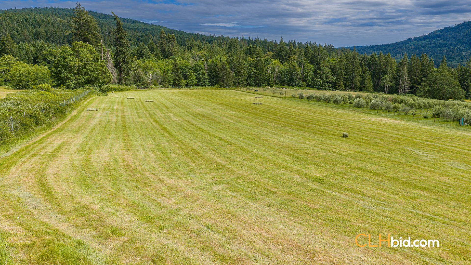 Web-OliveFarmLandNew-40