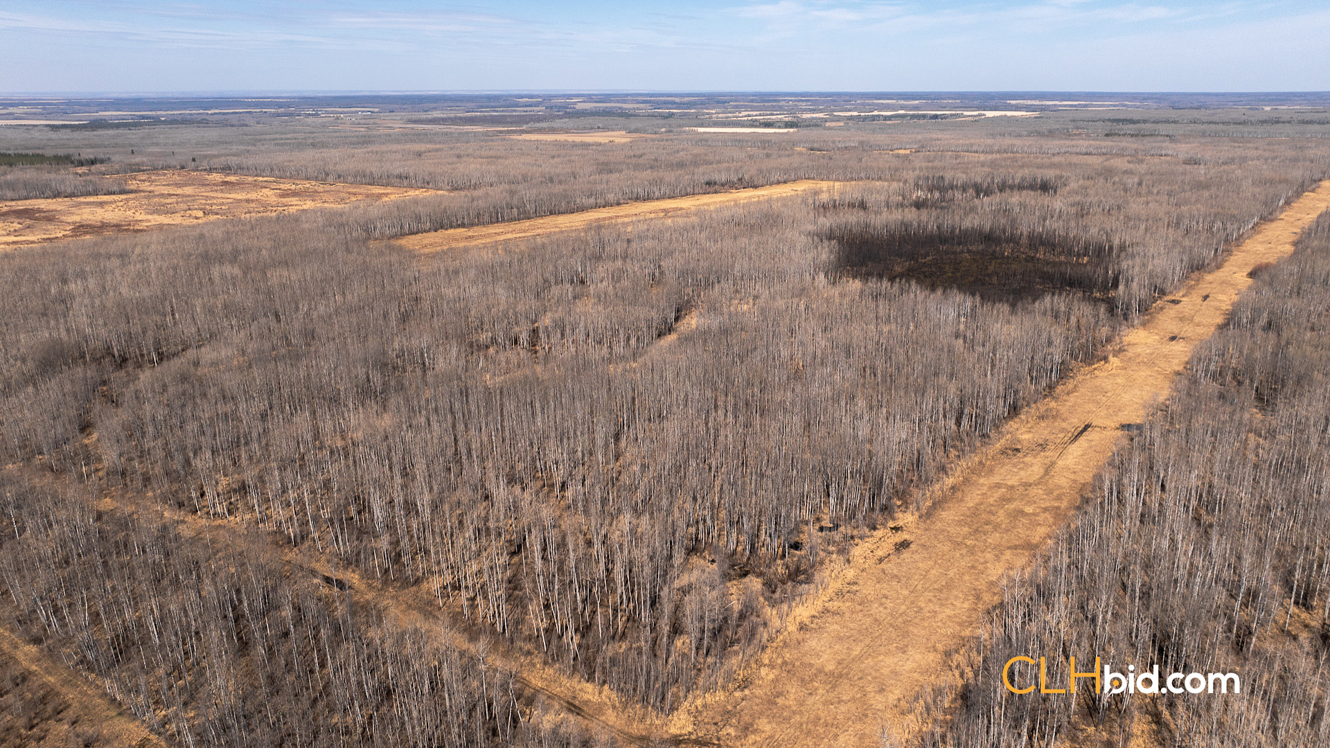 Web Sunrise Igniter Spring-7