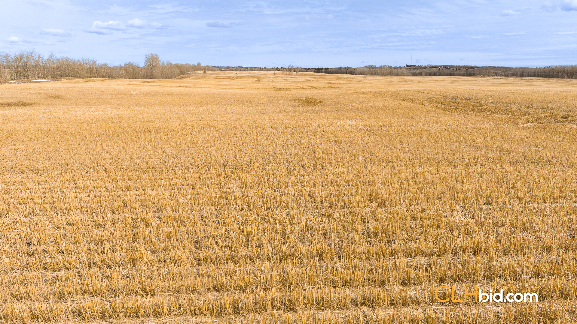 Web-BentleyRoyalty-9