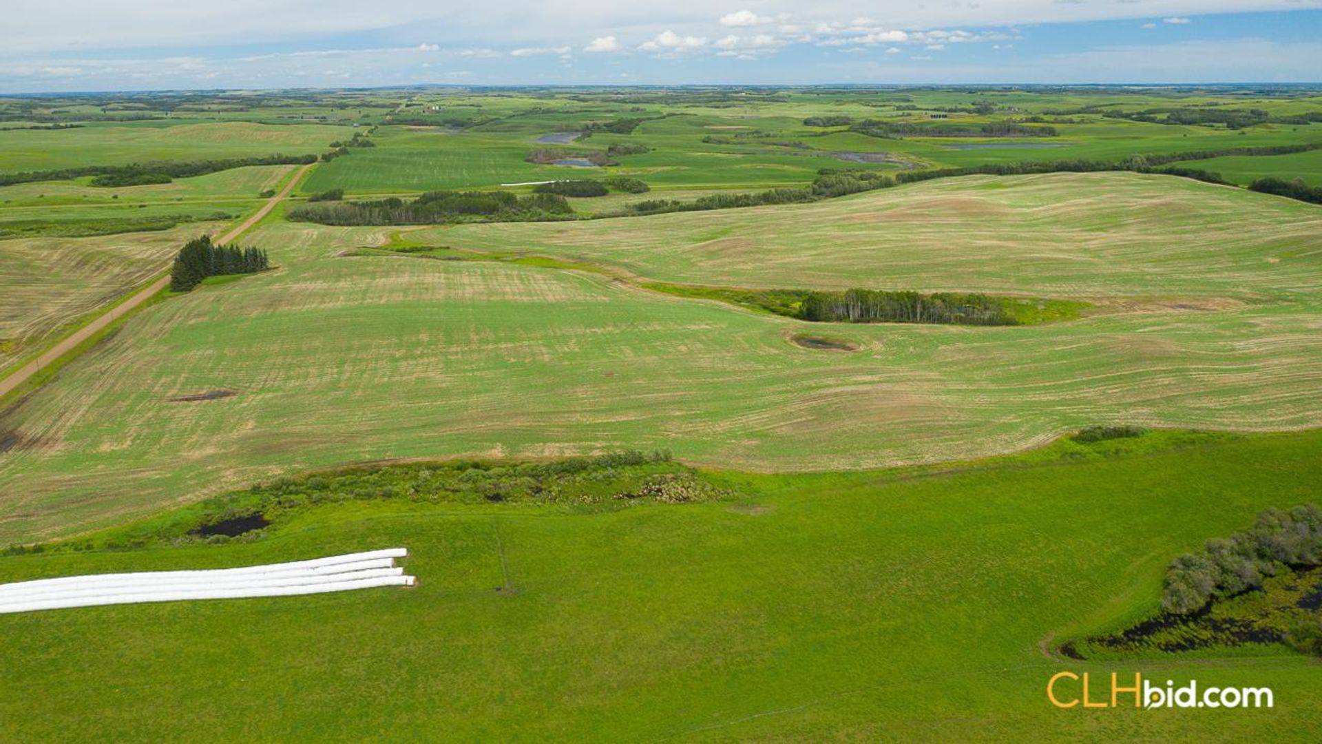 clandonaldcountrycousins-2-2