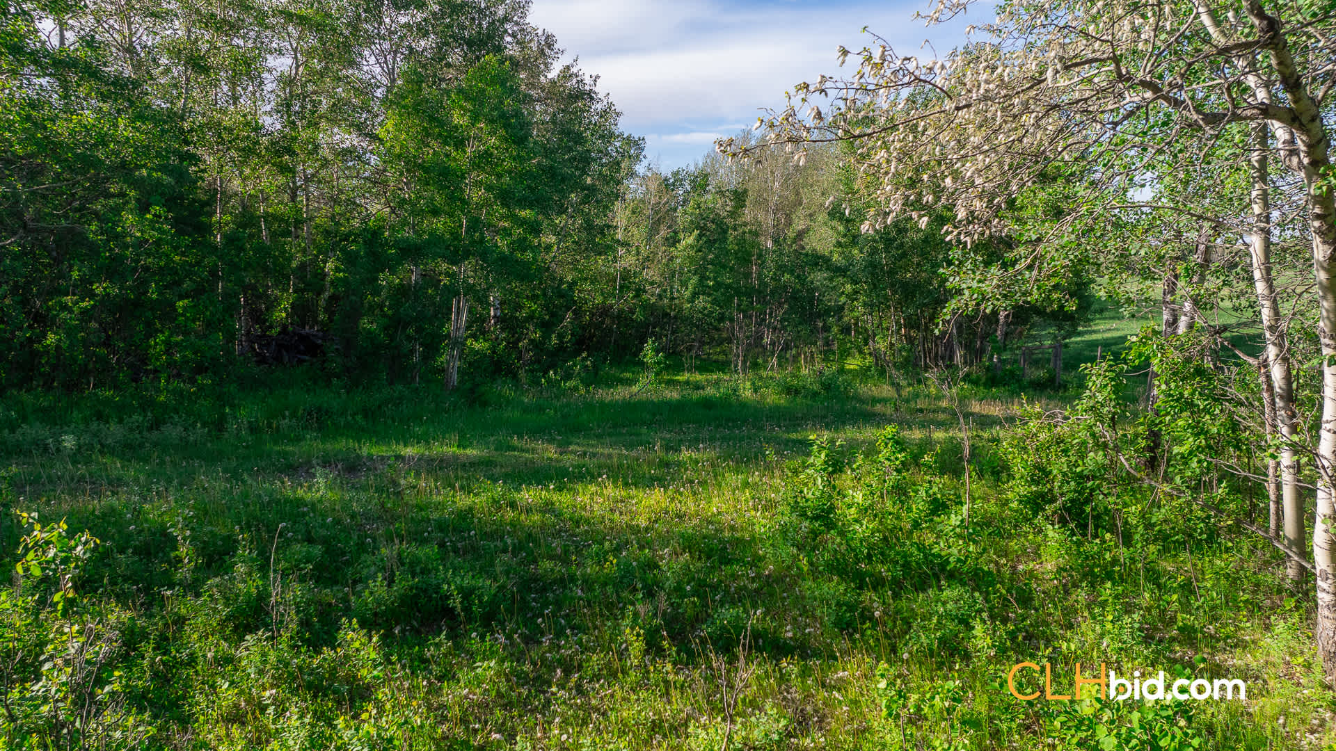 Web-Delburne-14