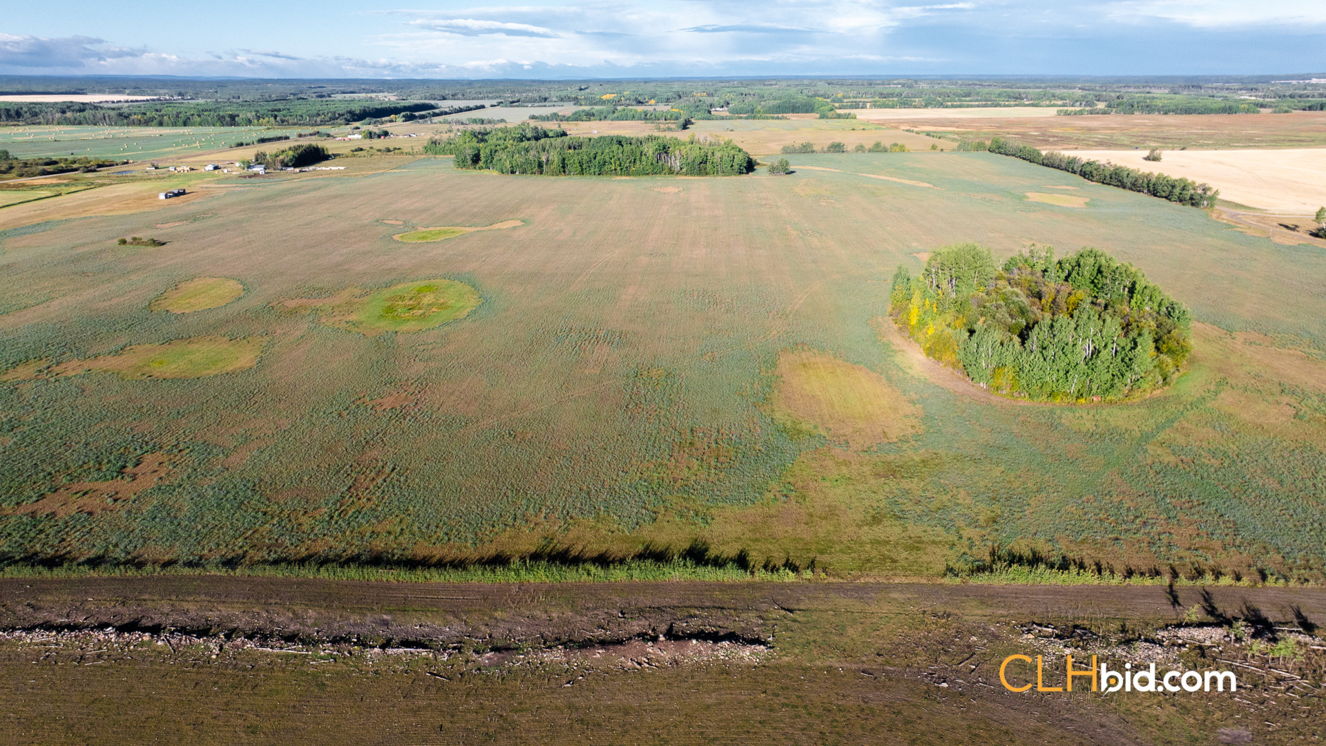 Web Premium Southwester-6