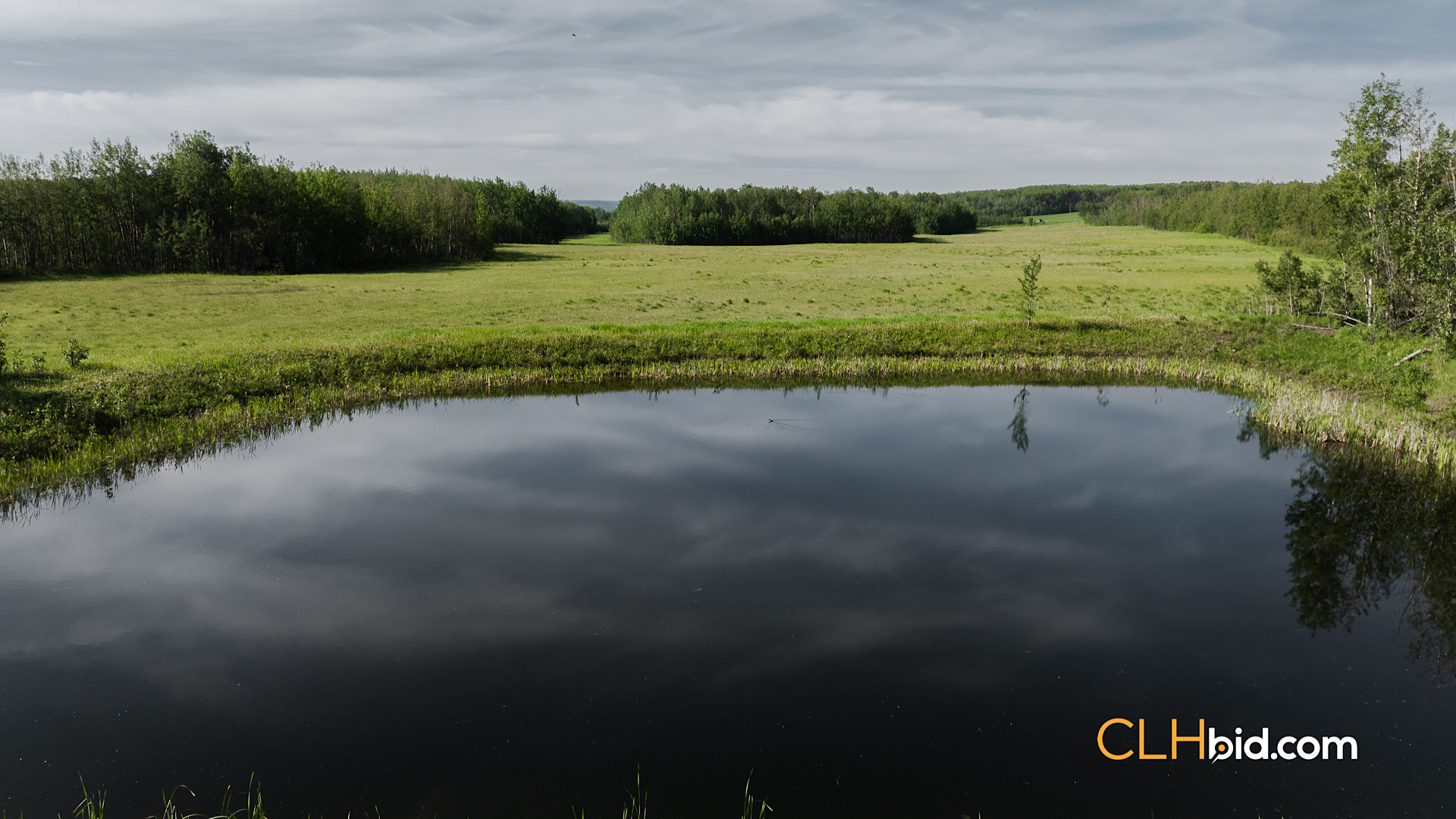 Web The Wild at Braden Rd-7