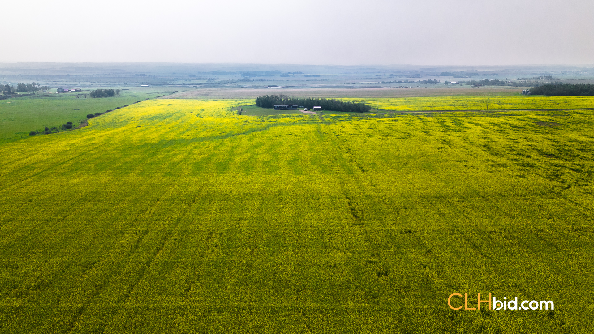 Web Sexsmith Serenity-9