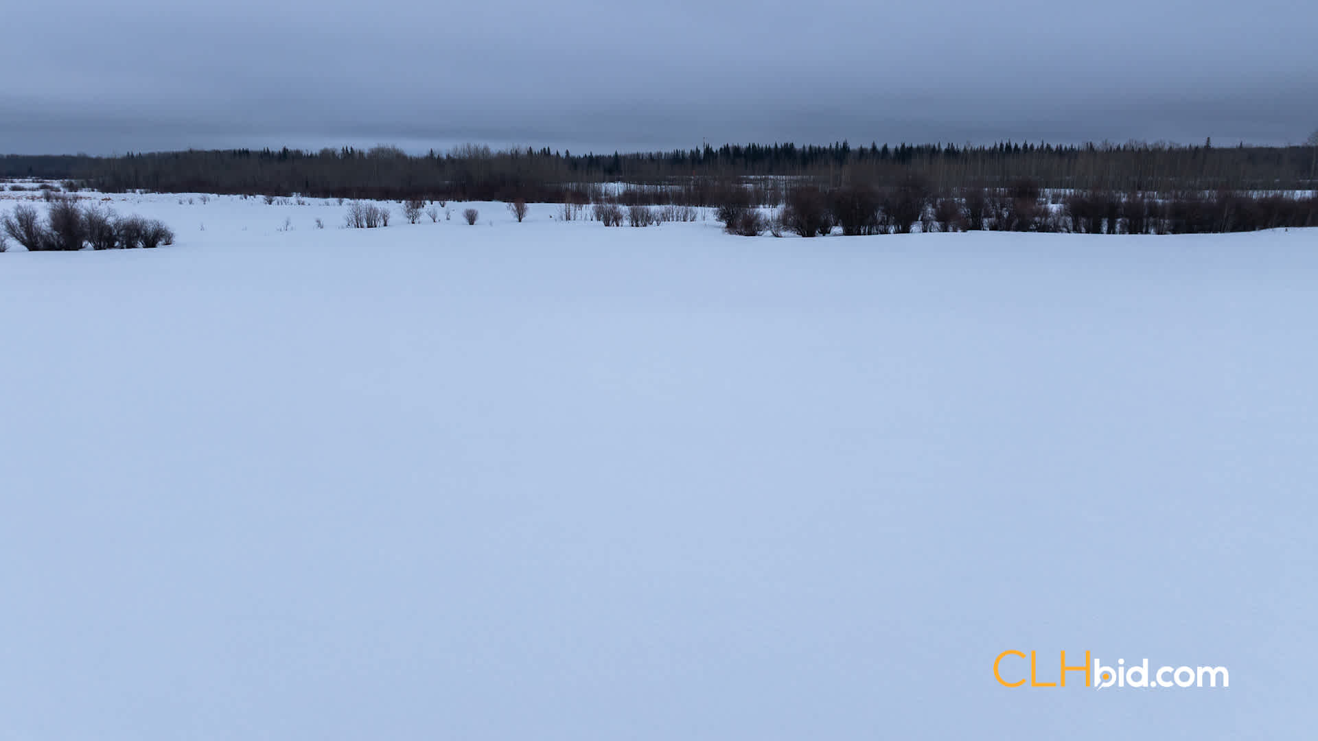 Web Marjorie 320-12