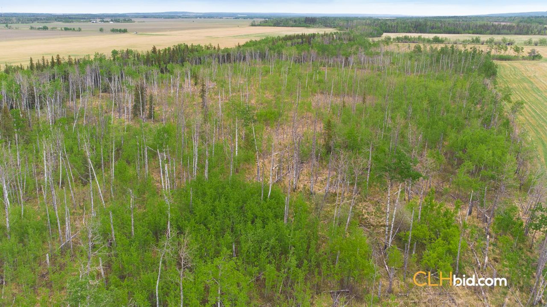 primetimeattheborder-1-2