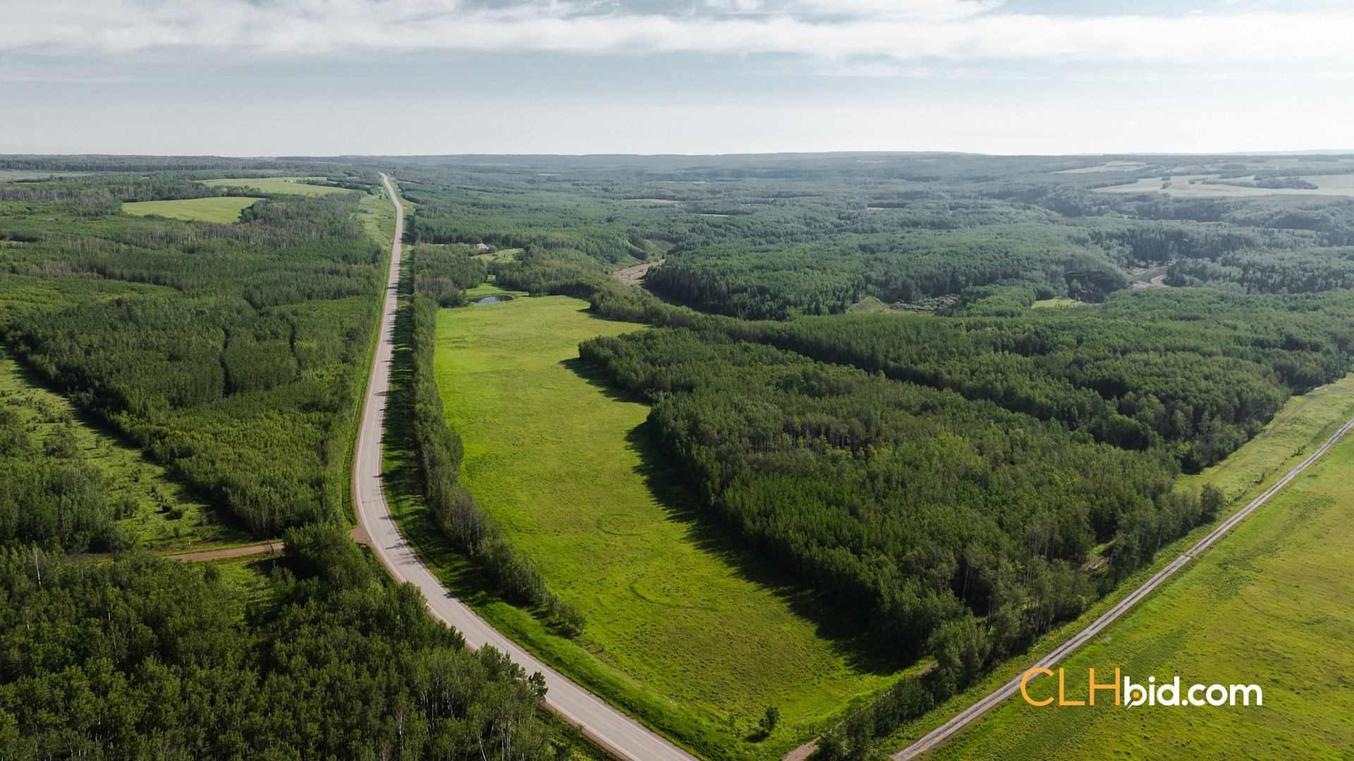 Web The Wild at Braden Rd-2