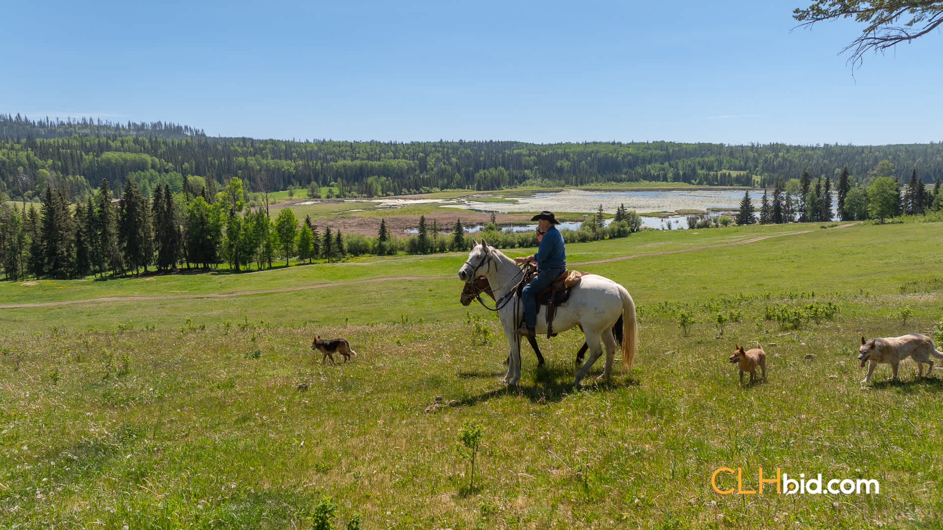 Web-CrystalWatersRanch-2