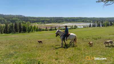 Crystal Waters Ranch
