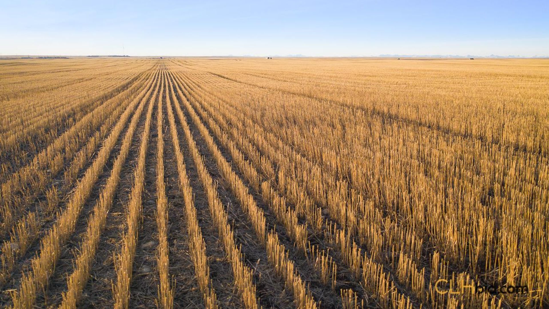 produceronpavement519-1-6