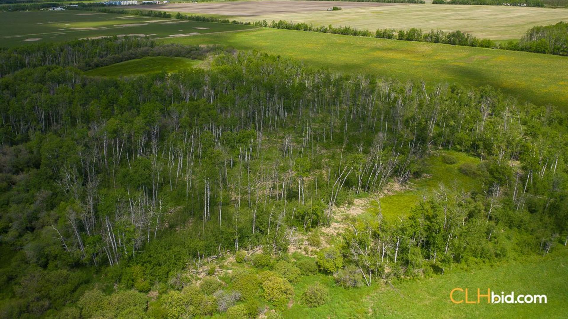 bigskymountainview-6-9