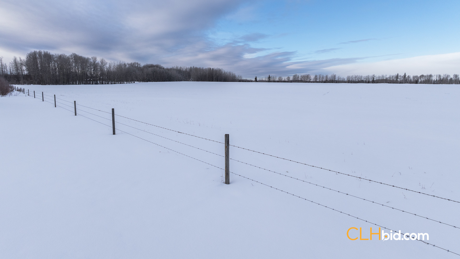 Web Unrestrained Funky-3