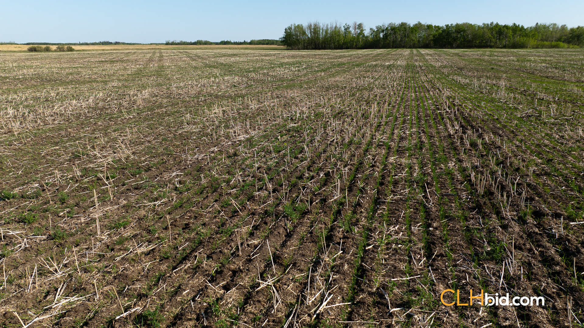 Web-AssiniboineRancher-44