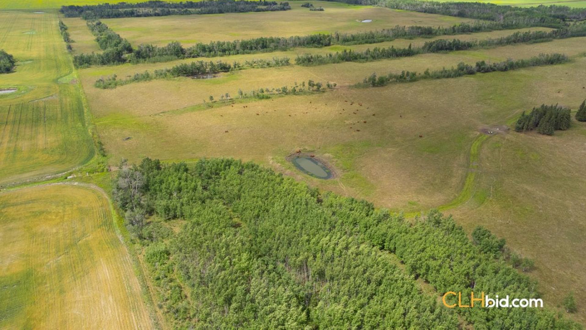 wanham320upgrader-1-3