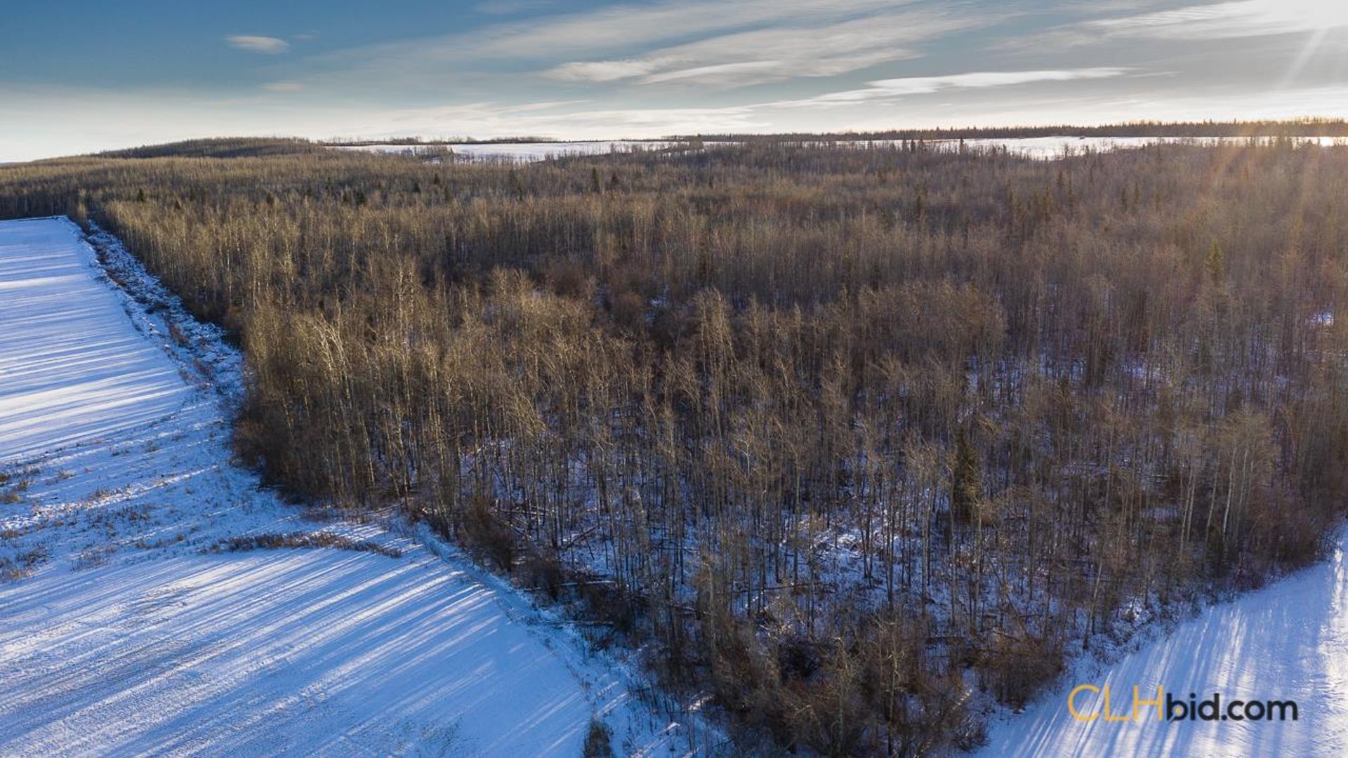 dreamershalfmile-1-10