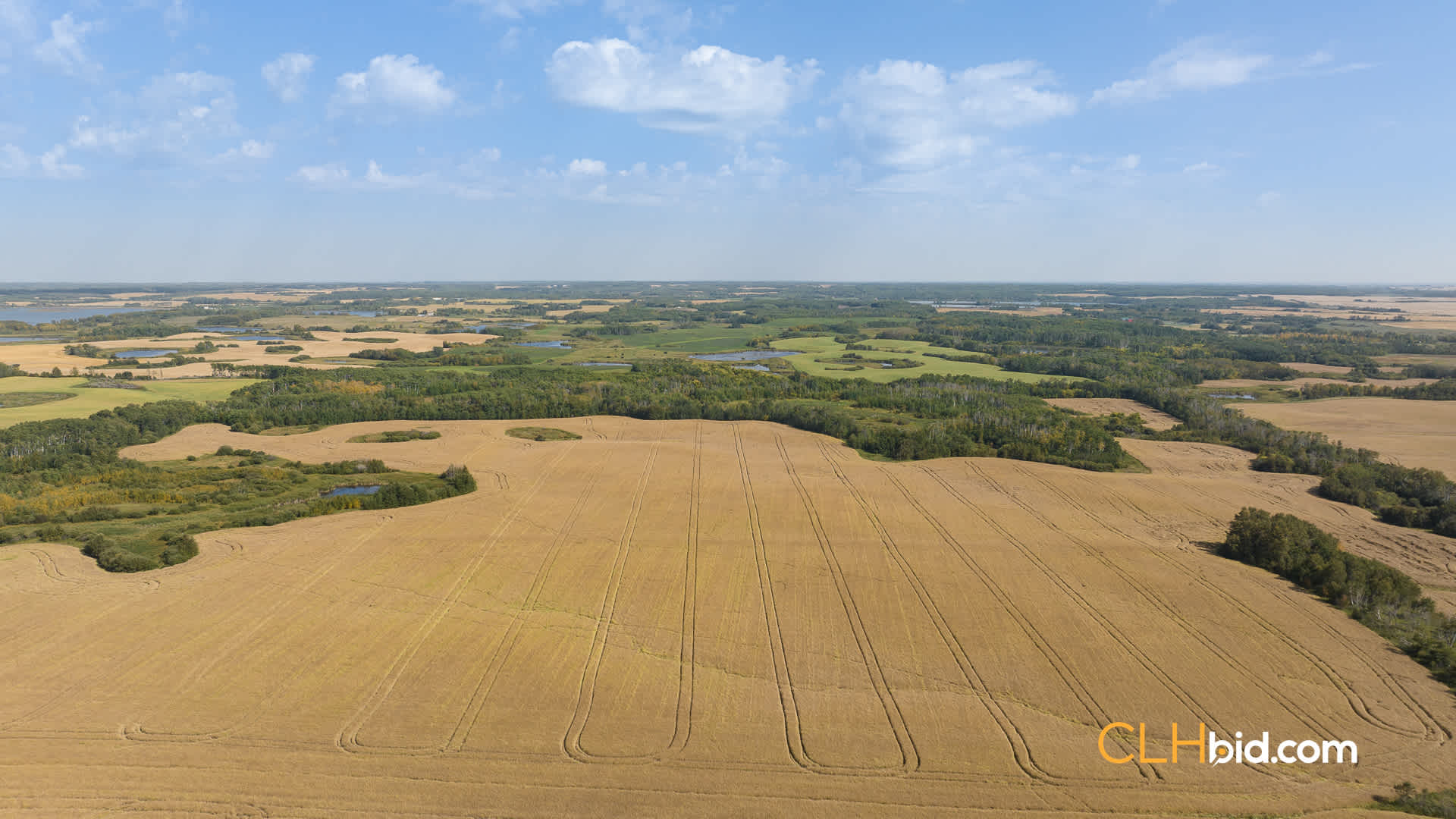 View from above of Rossburn Primary