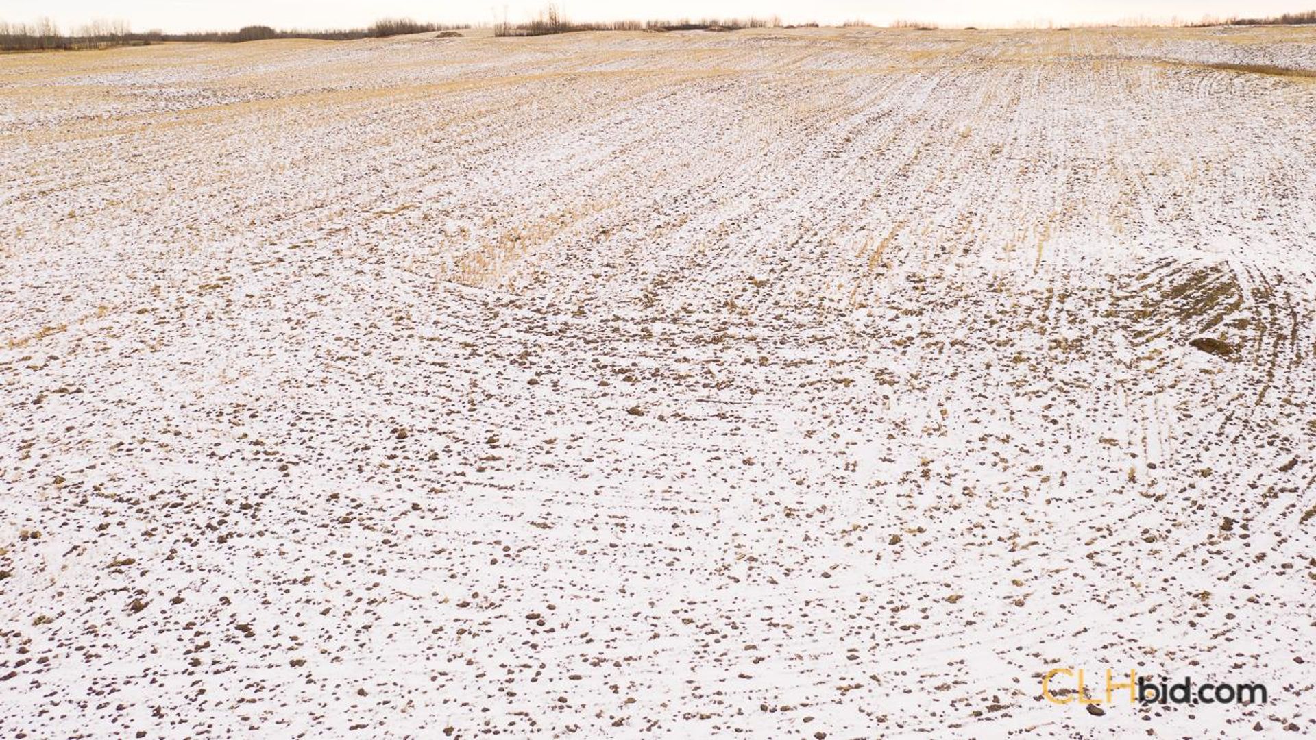 barrheadbigoptions-1-6