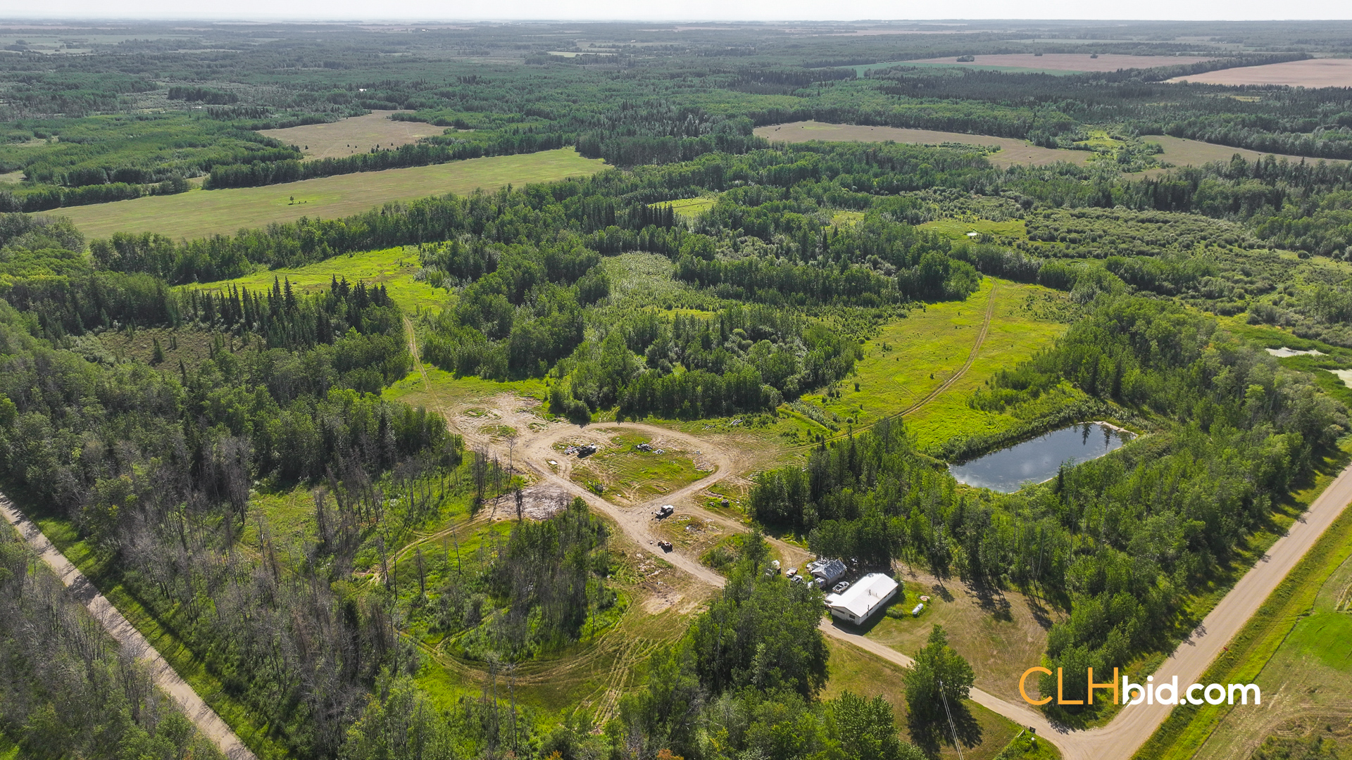 Web Talking Trees 19