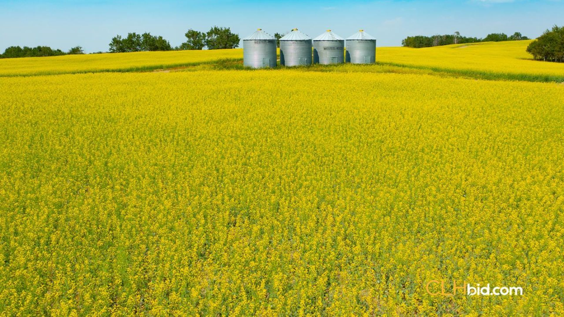 chauvinstanduptriple-1-5