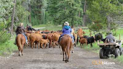 The Jura Ranch