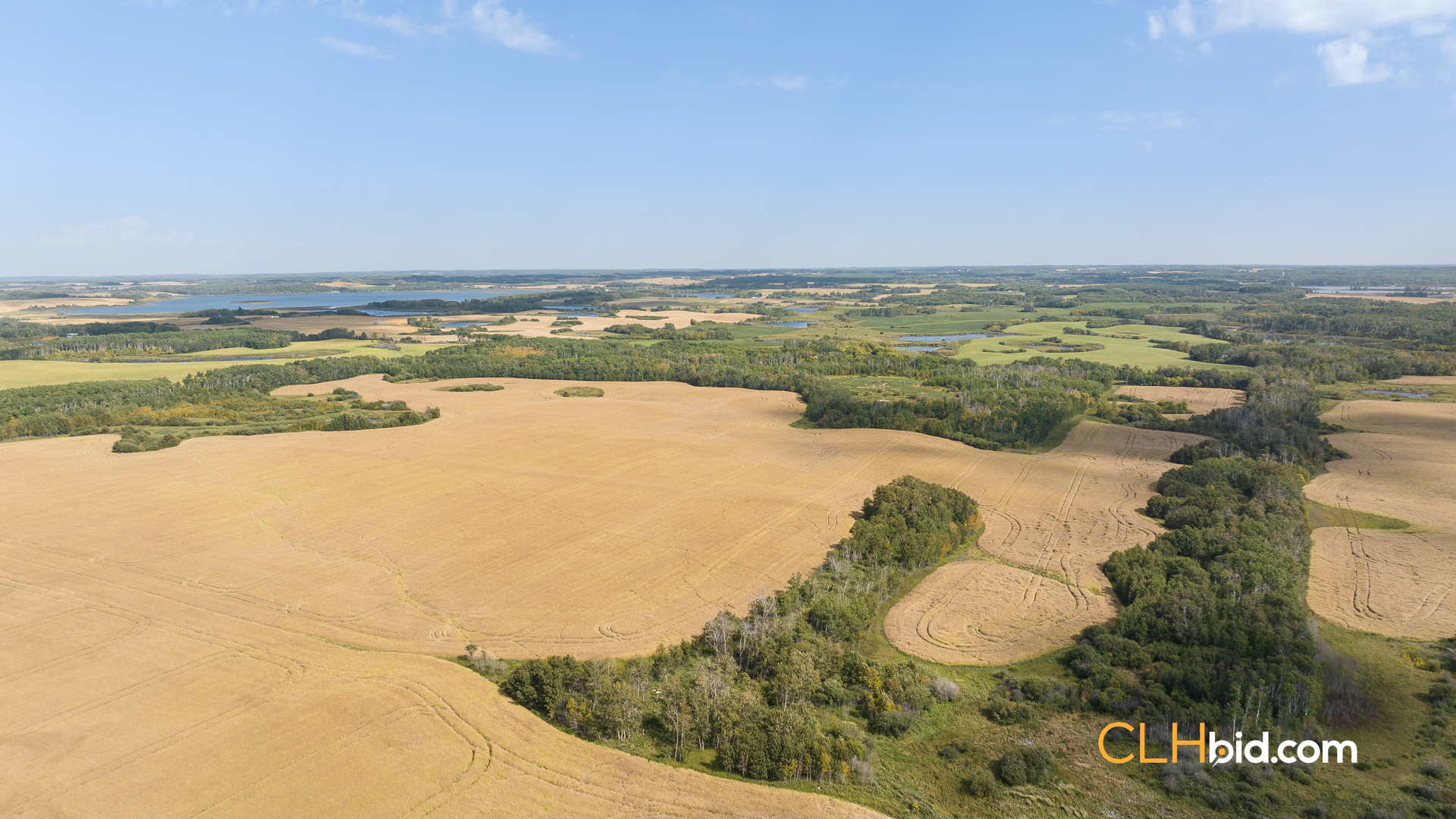 Web-RossburnPrimary-14