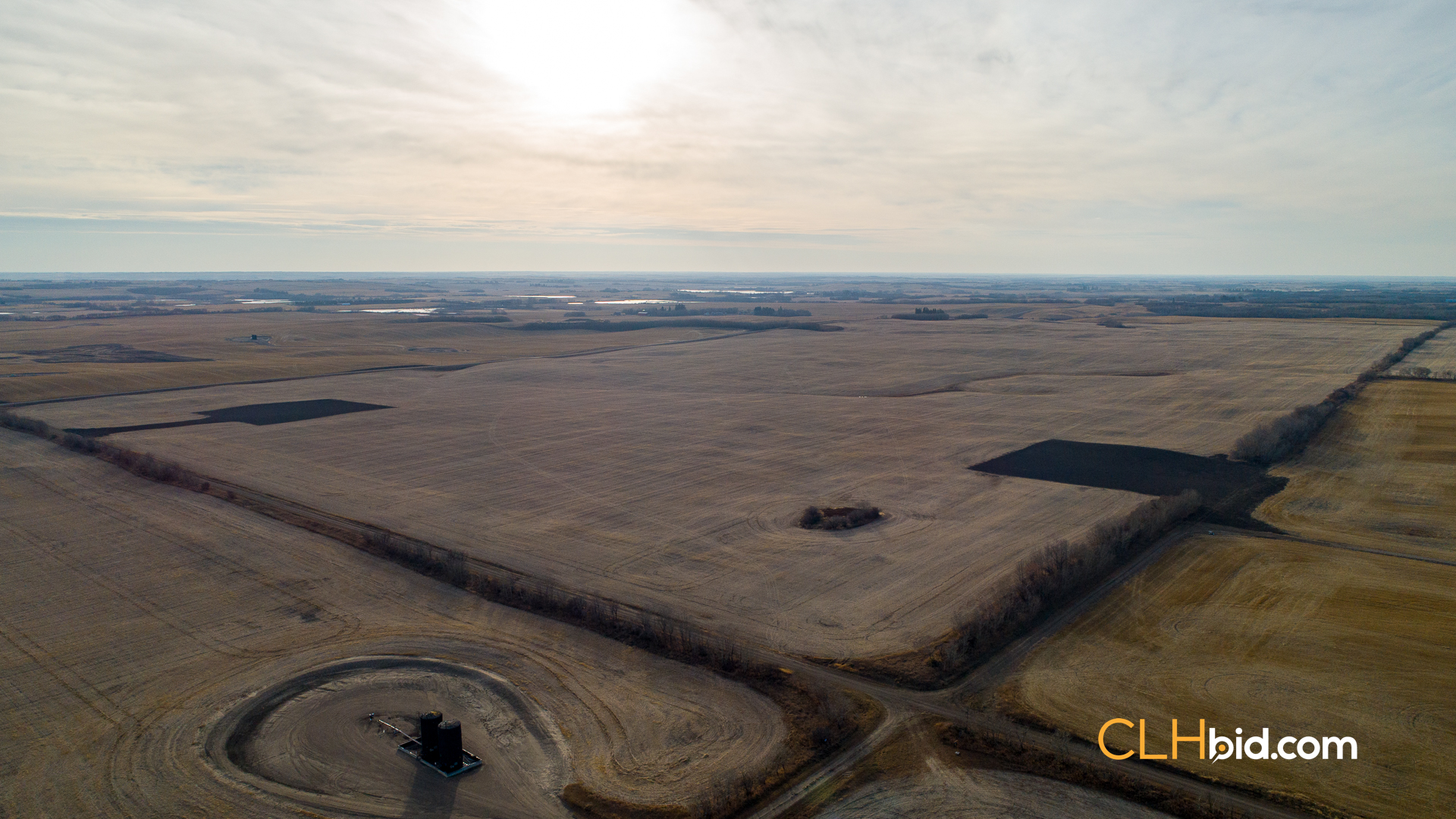 Web-Nine-Of-Diamonds-30