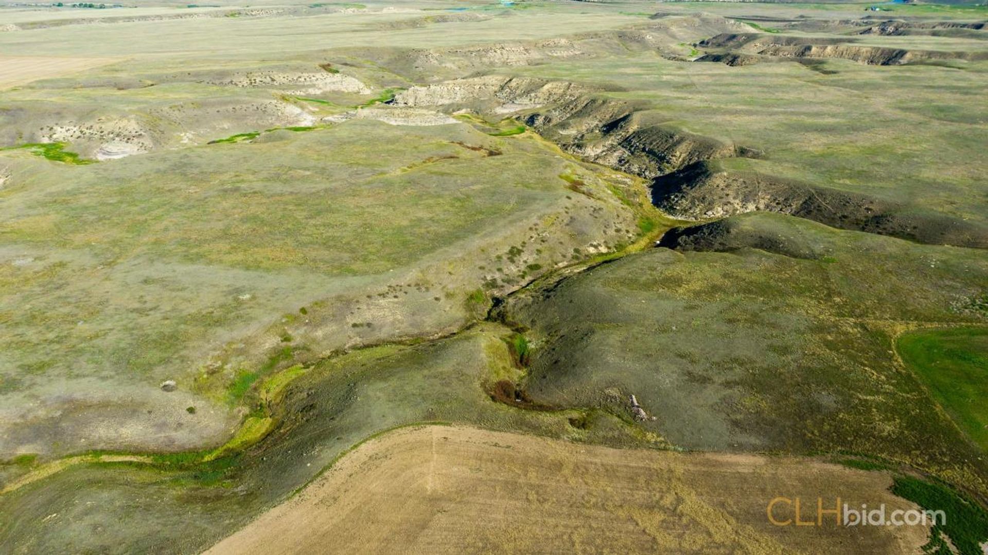 shadowsofthesweetgrasshills-8-2