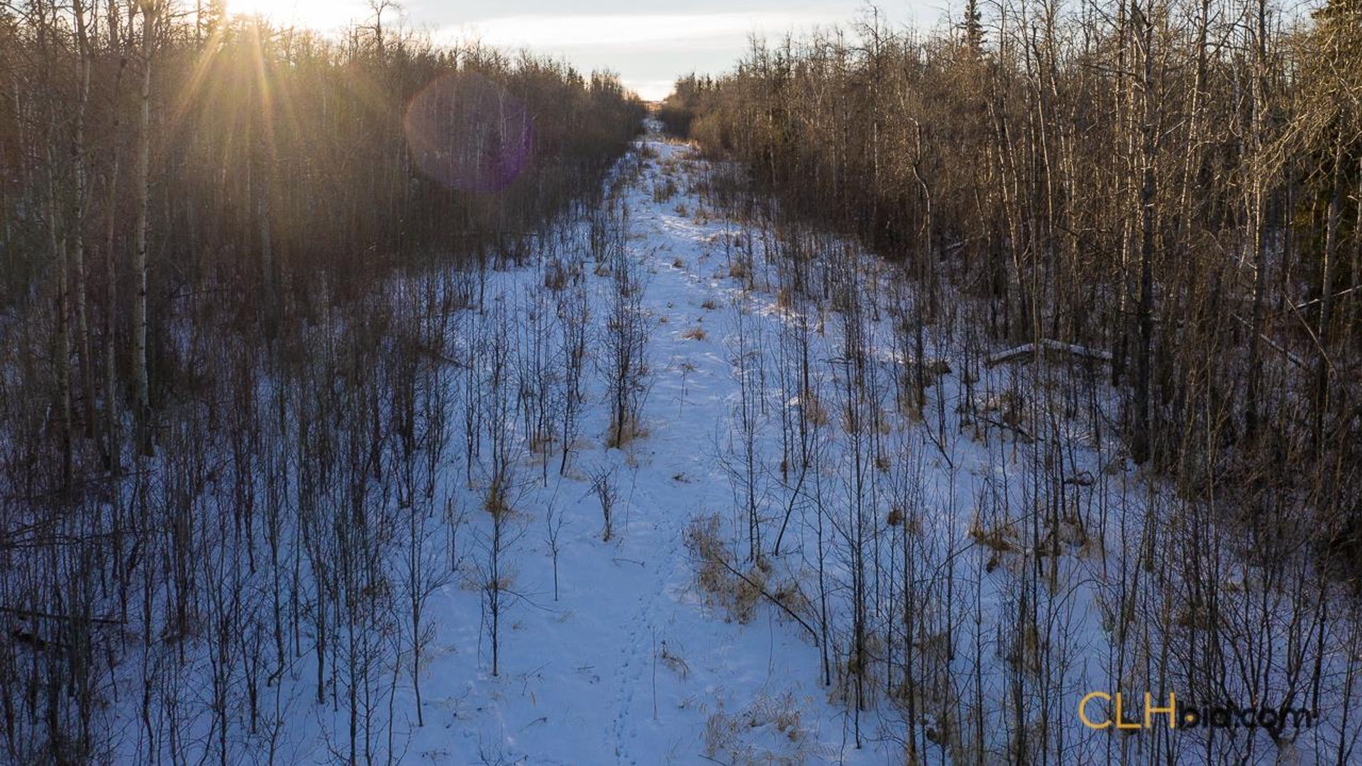 dreamershalfmile-1-16