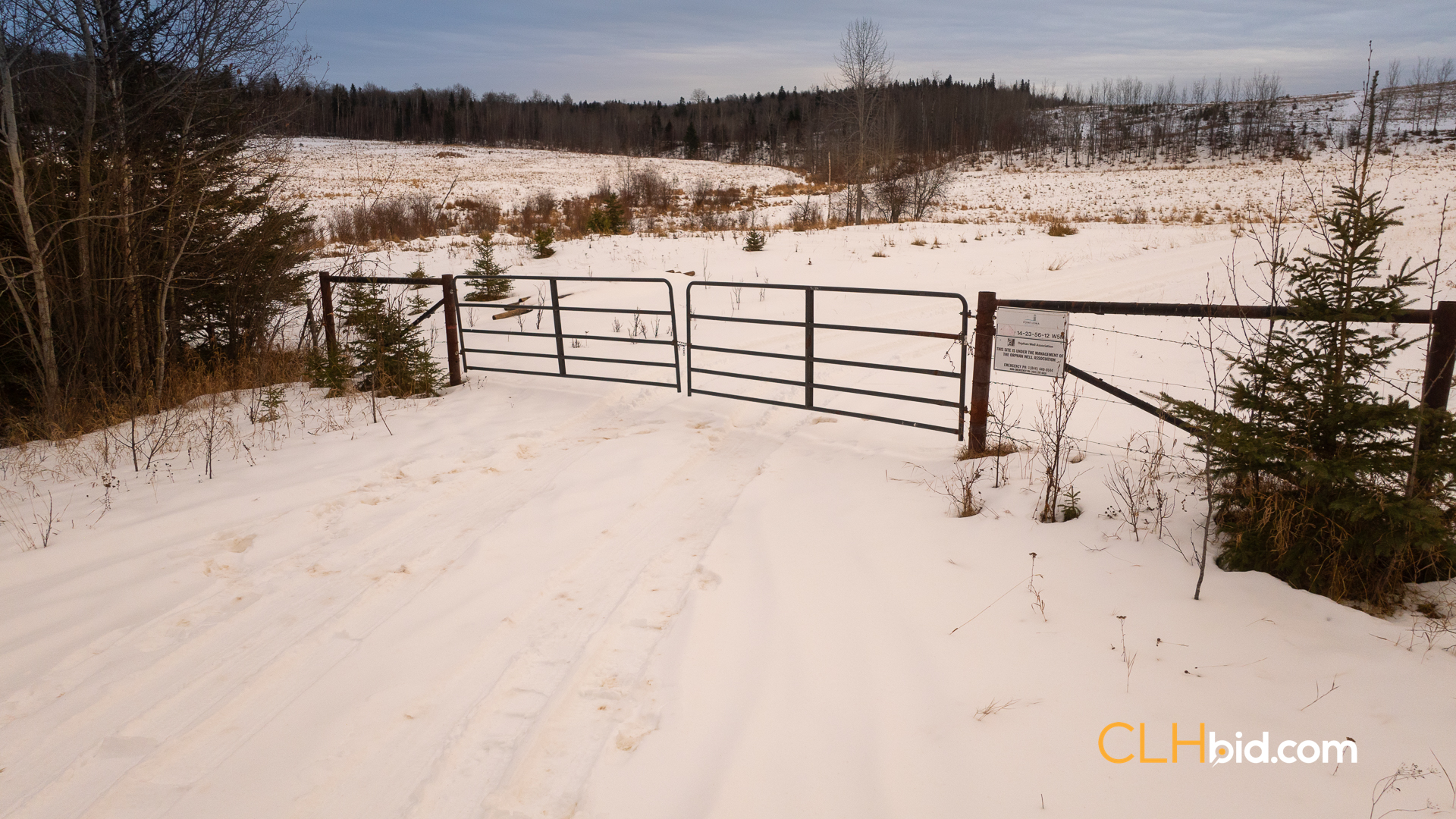 Web-GrazingGrounds-27