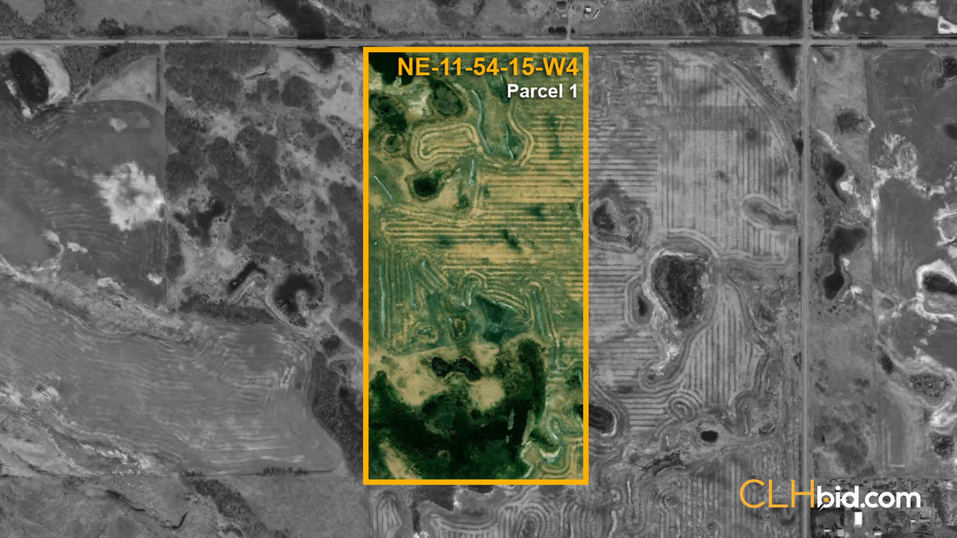 P1-Quad-Opportunity