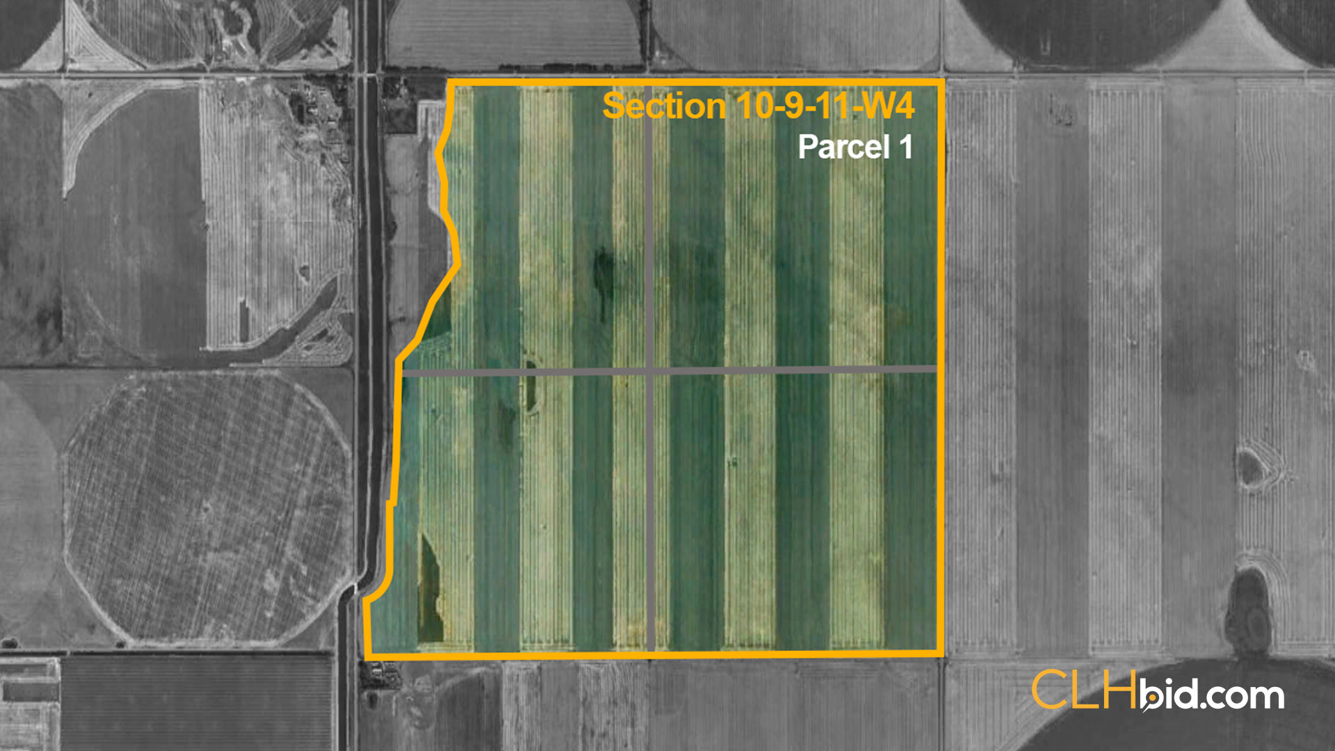P1-Bow-Island-Pivotal