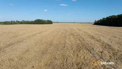 Virden Legacy - Parcel 2