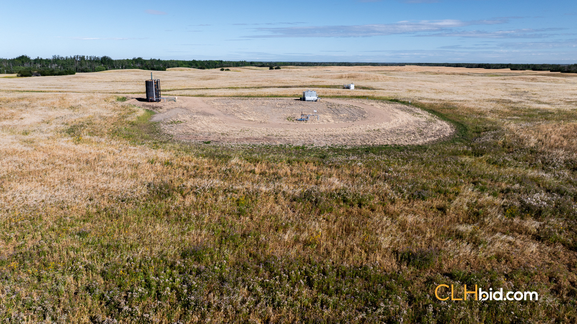 Web Veteran Legacy-11