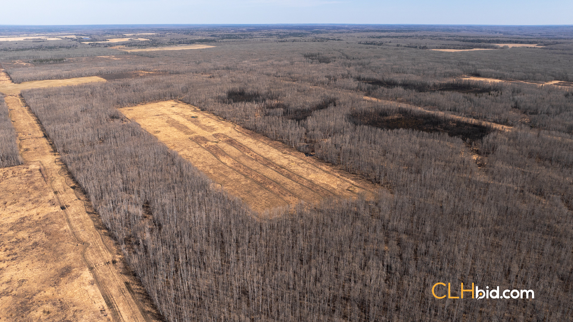 Web Sunrise Igniter Spring-4