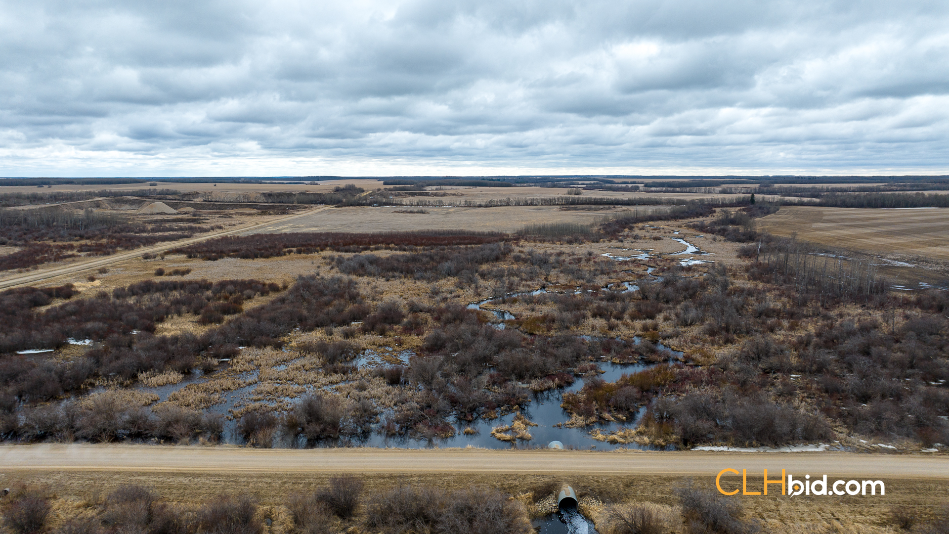 Web-Star-City-Rockstar-10