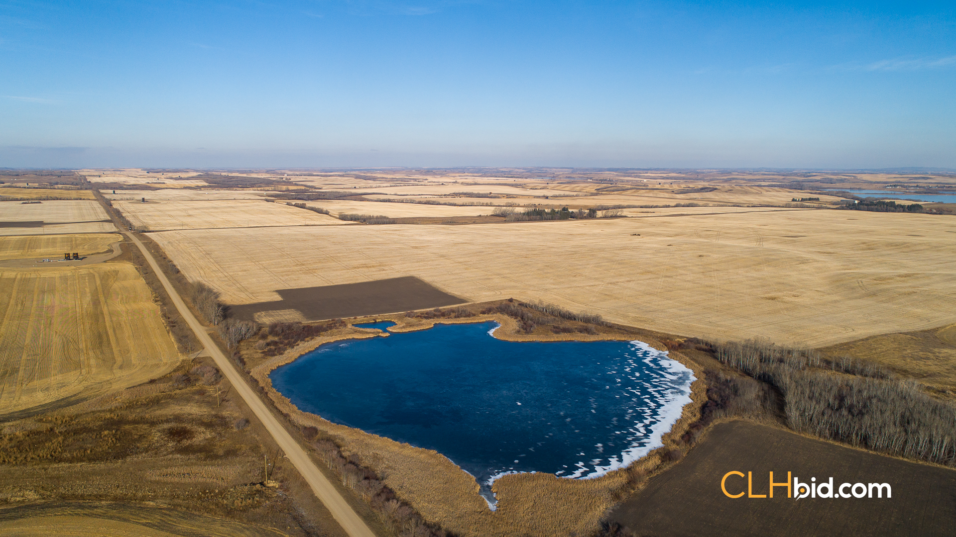 Web-Nine-Of-Diamonds-2