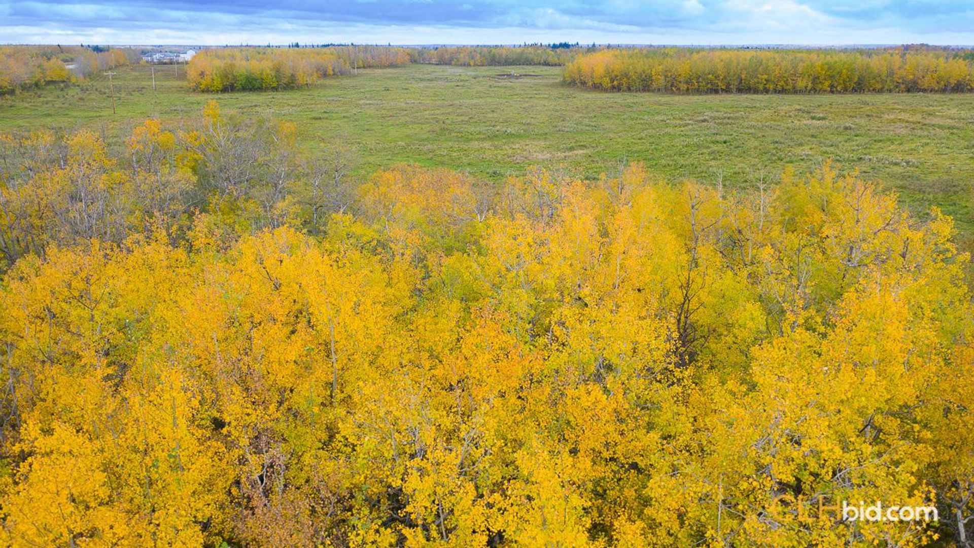 countryfarmsonhighway14-3-8