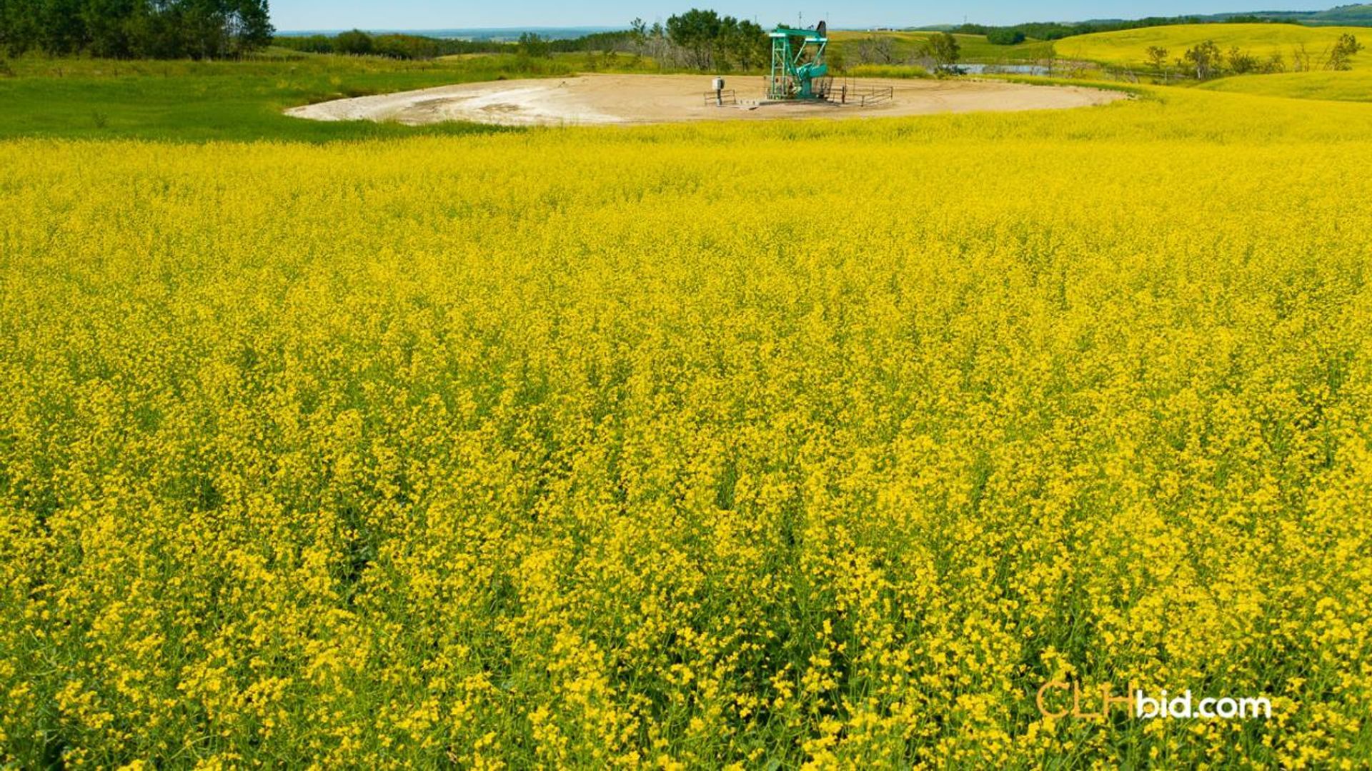 chauvinstanduptriple-1-3