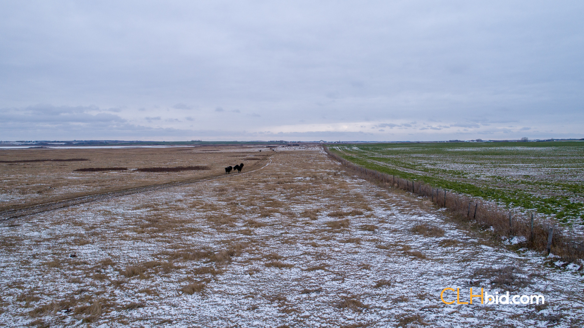 Web-Burke-Lake-Bonanza-31