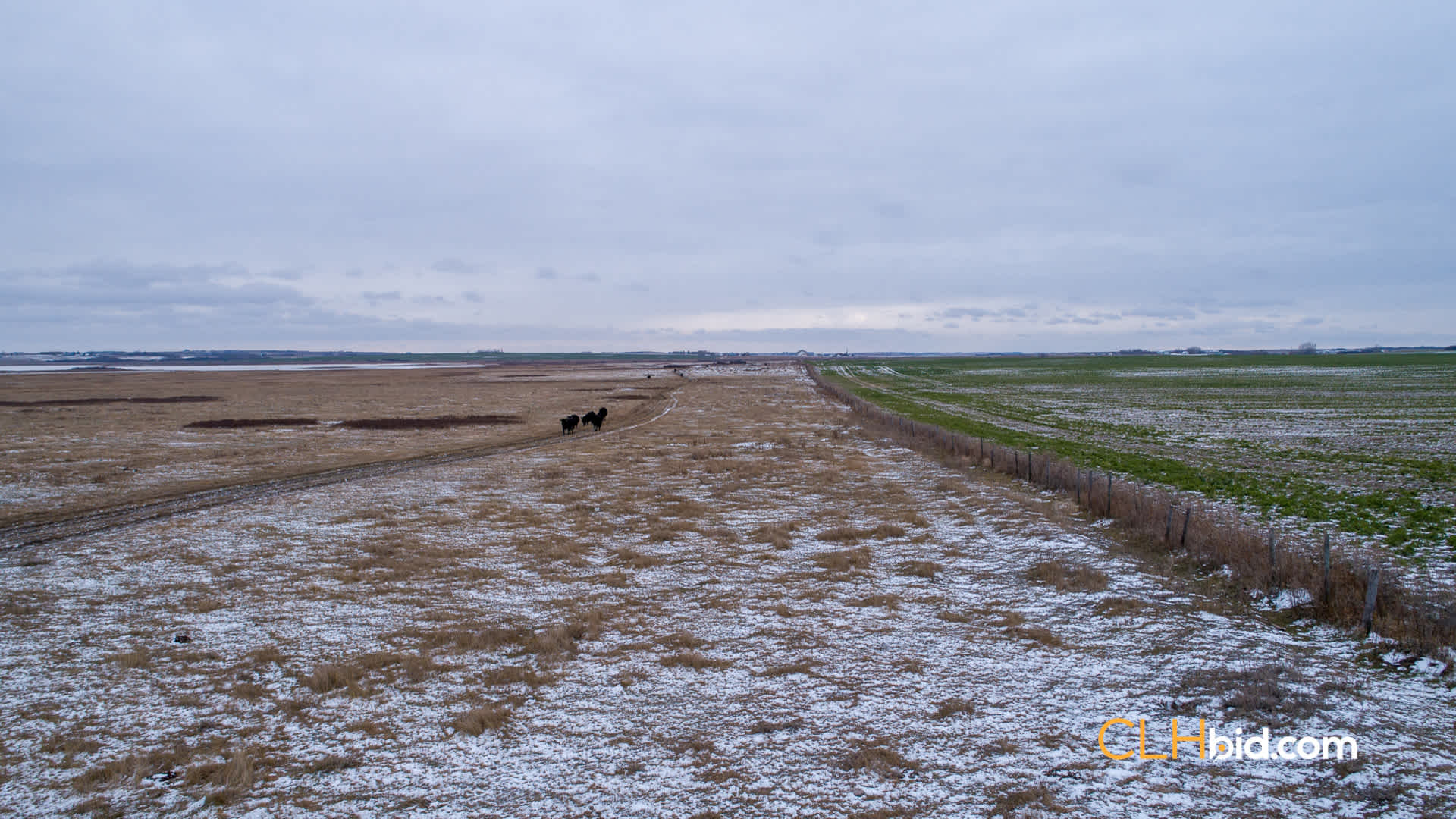 Web-Burke-Lake-Bonanza-31