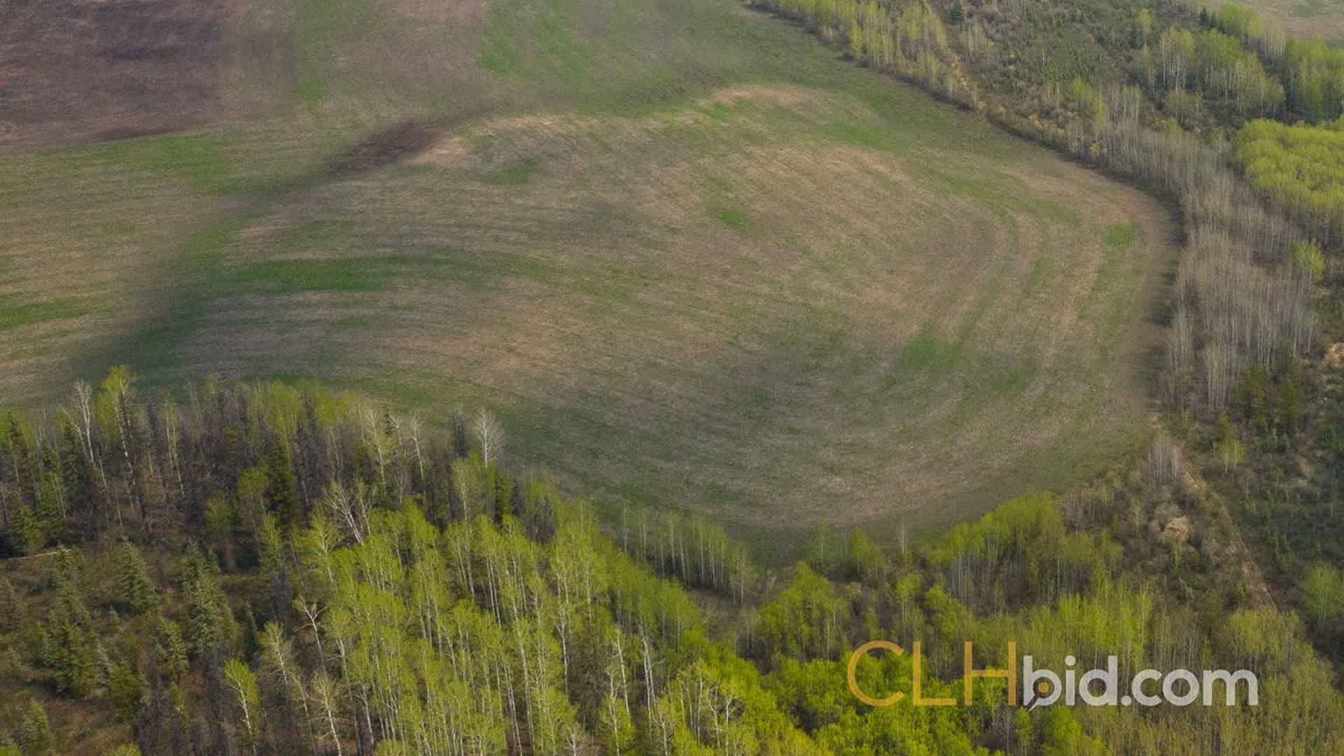 dustytrailsranch-1-1