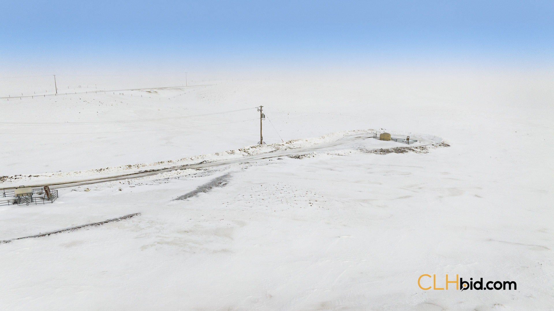 Web169-AcresOfPedigree-52