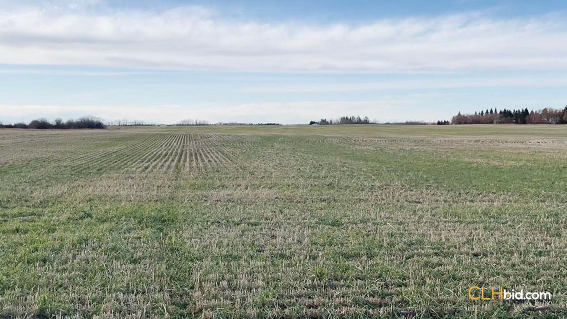 landyoursturgeon-1-9