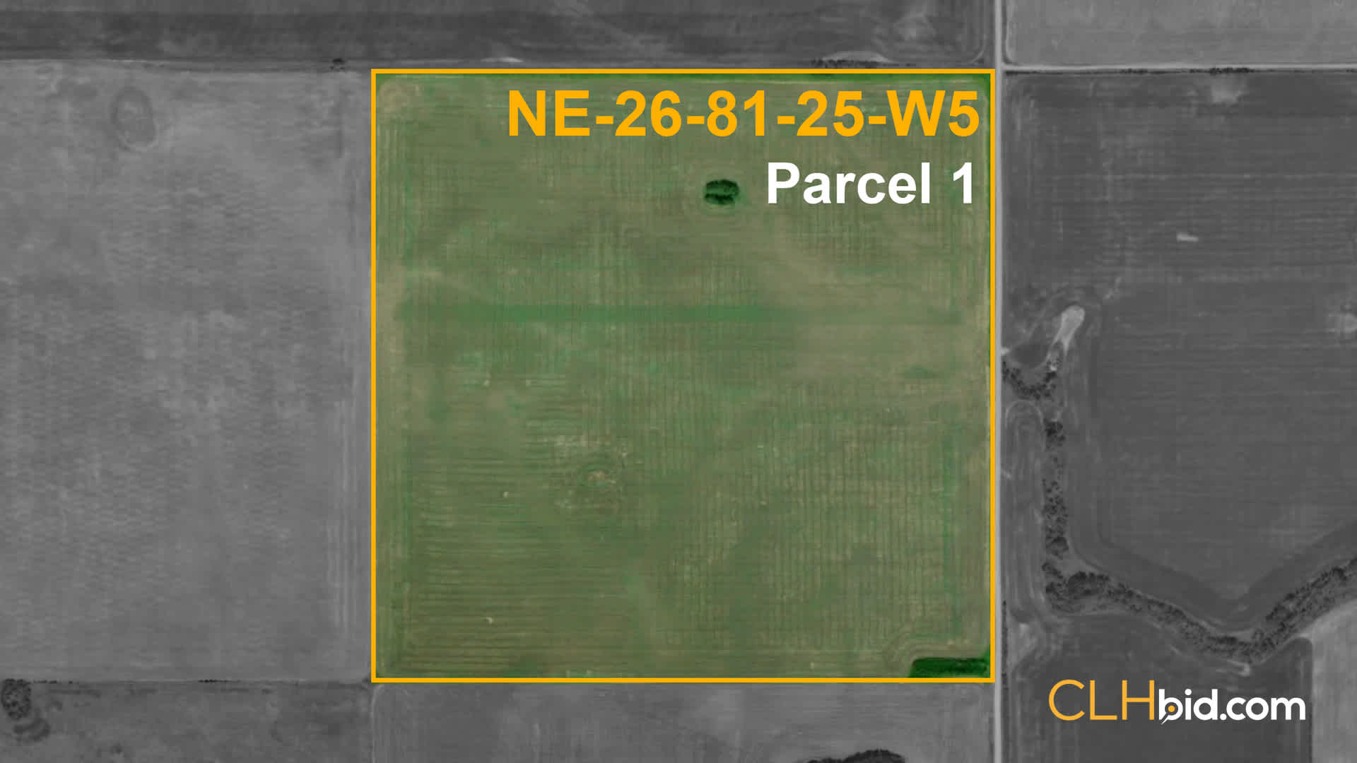 P1-NE-26-81-25-W5