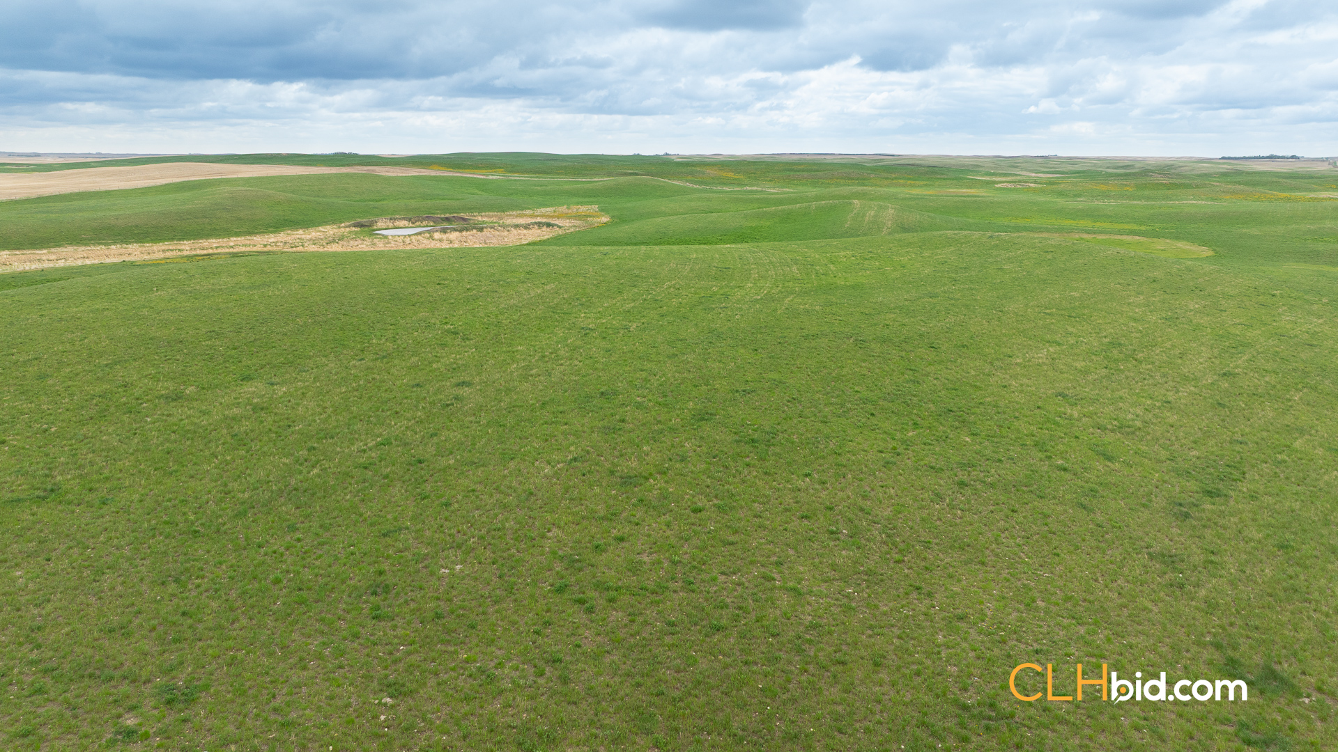 Web-LegacyMoveNEW-20