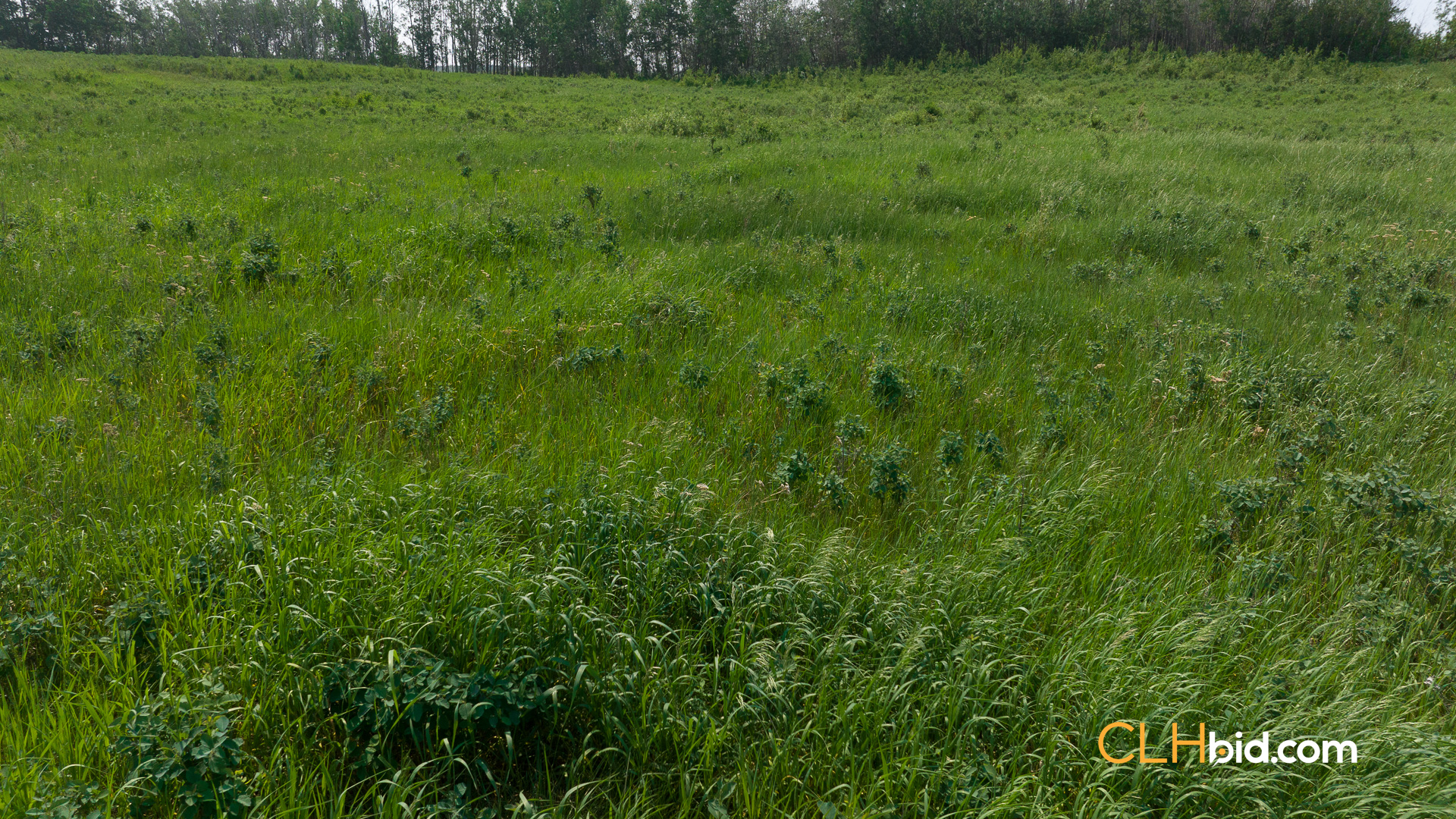 Web-Innisfree8Summer-19