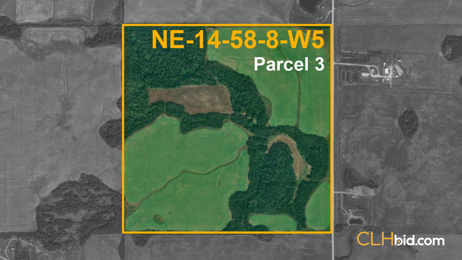 Studebaker P3 - WIDE - Contentful