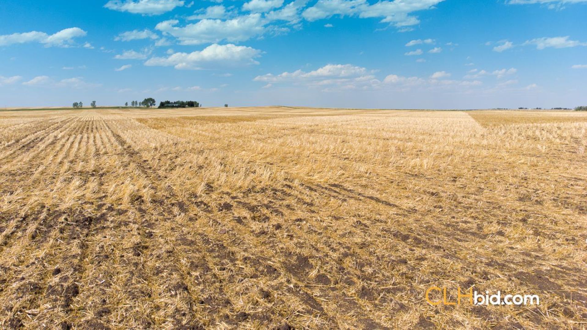 hartelllandrodeodrive-1-9