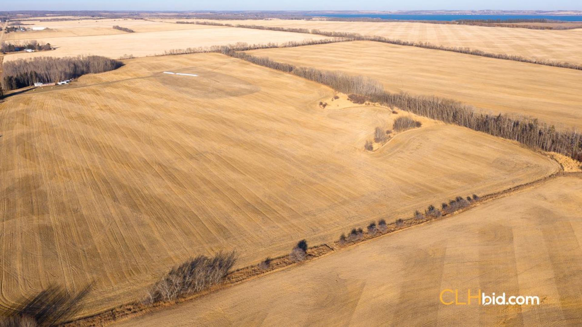 bentleycontinentalv8-5-5